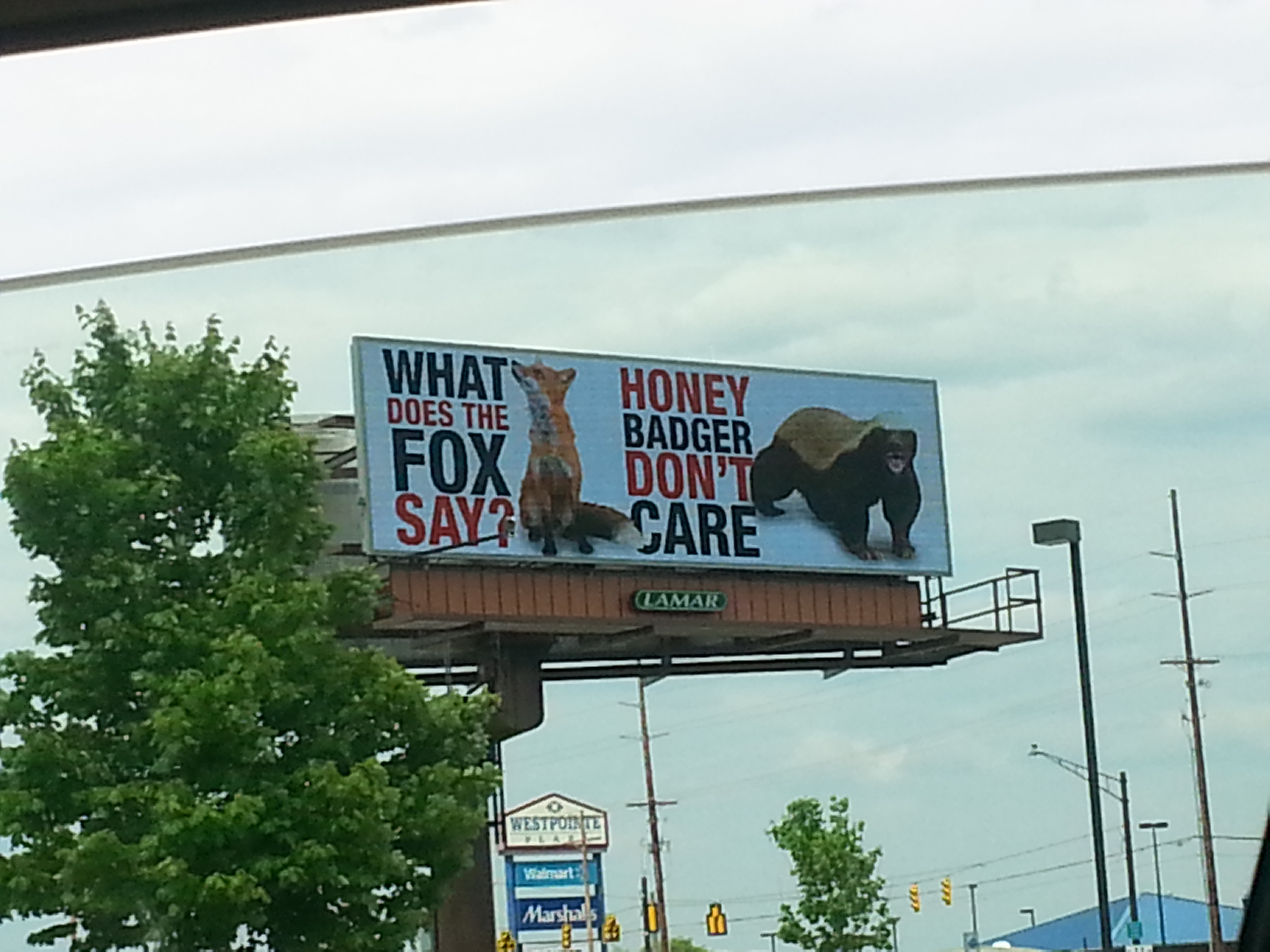billboard - What Does The Honey Badger Fox Say Don'T Care Lamar