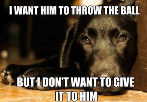 first world dog problems meme - I Want Him To Throw The Ball But I Don'T Want To Give It To Him