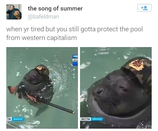 cute and sassy meme - the song of summer when yr tired but you still gotta protect the pool from western capitalism