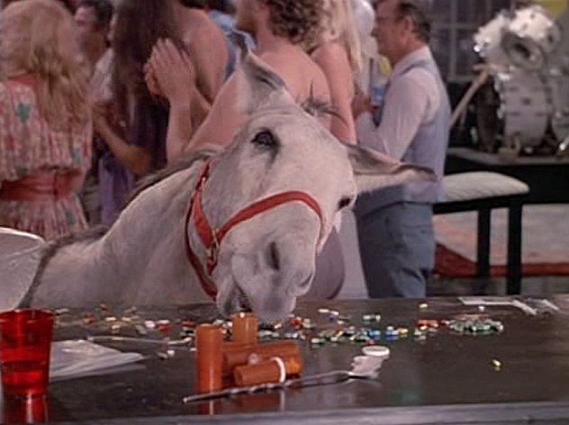 In the movie Bachelor Party, a mule named Max snorts three lines of coke and 

dies. Whoever came up with that scene didn't know that mules weight over half 

a ton, and three lines of coke is pretty much like half a line for a human.