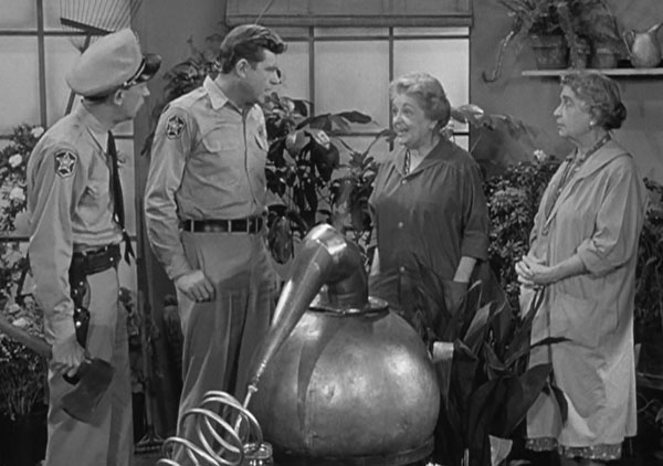 The Andy Griffith Show teaches about how you can sober up instantly. Drunk as 

a skunk? No problem, drink some coffee as it neutralizes alcohol. No it 

doesn't!