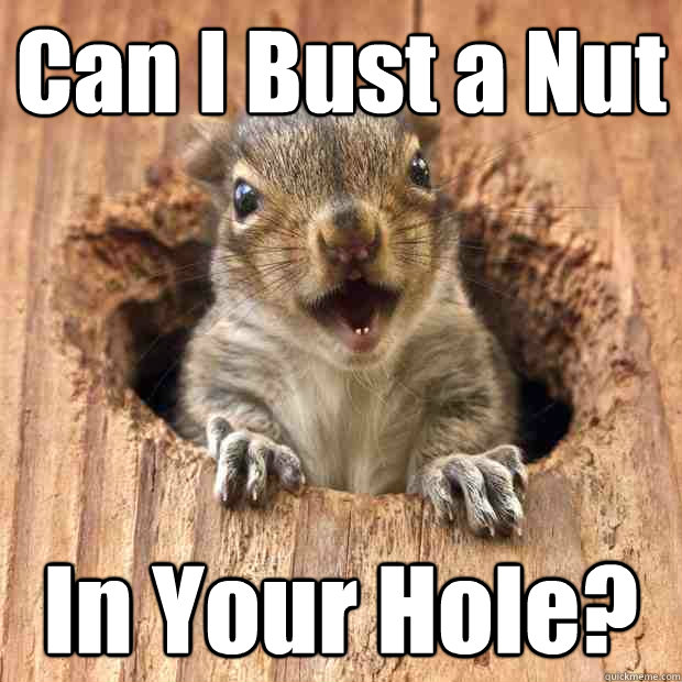 It is estimated that millions of trees in the world are accidentally planted by squirrels who bury nuts and then forget where they hid them.