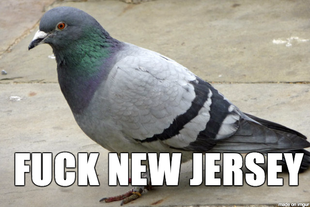 beak - Fuck New Jersey made on imgur
