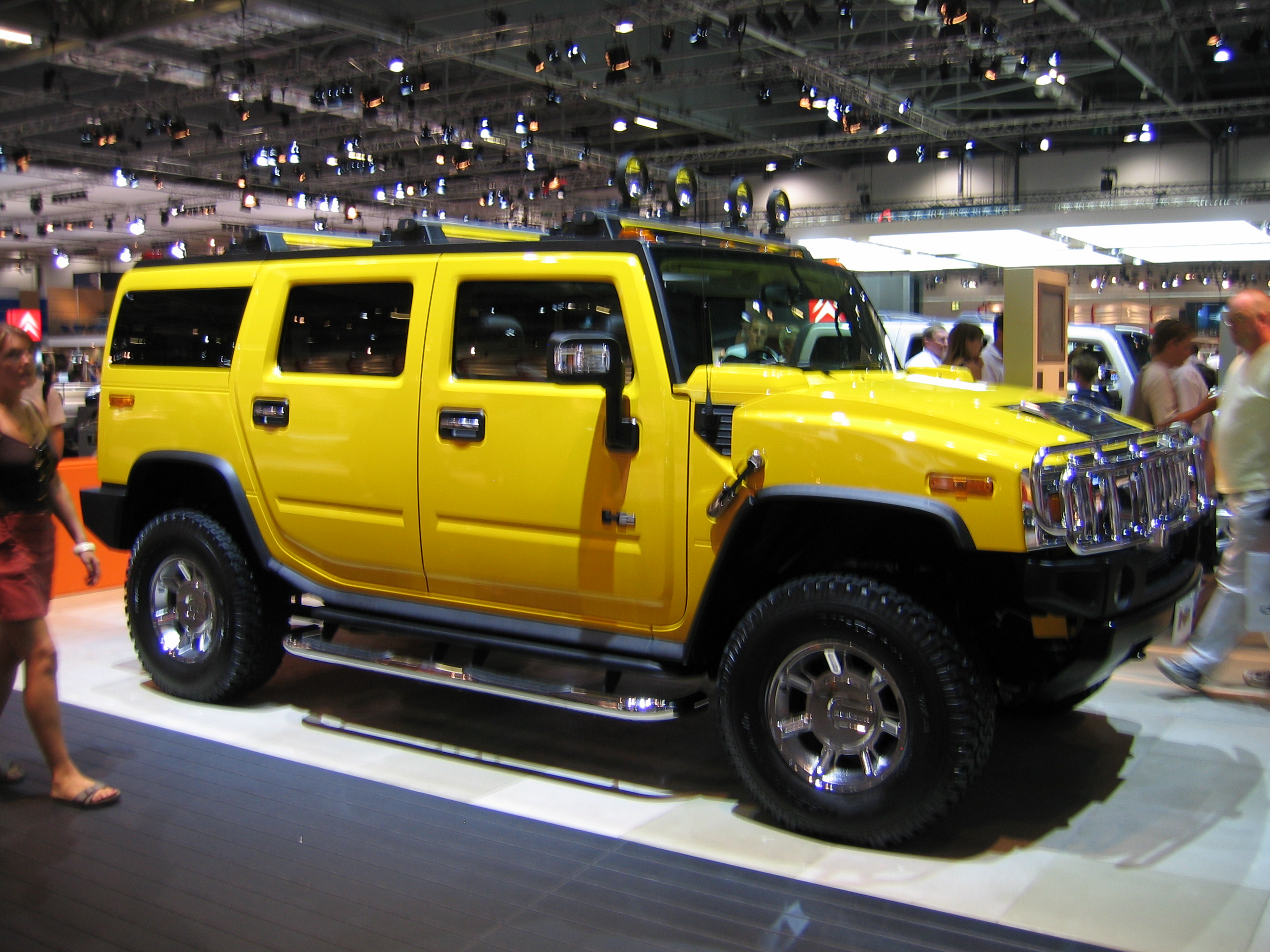 Hummer sales fell 95% between 2006 and 2010.
