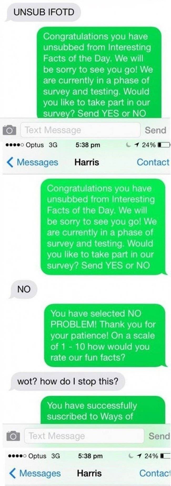 troll a text scammer - Unsub Ifotd Congratulations you have unsubbed from interesting Facts of the Day. We will be sorry to see you go! We are currently in a phase of survey and testing. Would you to take part in our survey? Send Yes or No O Text Message 
