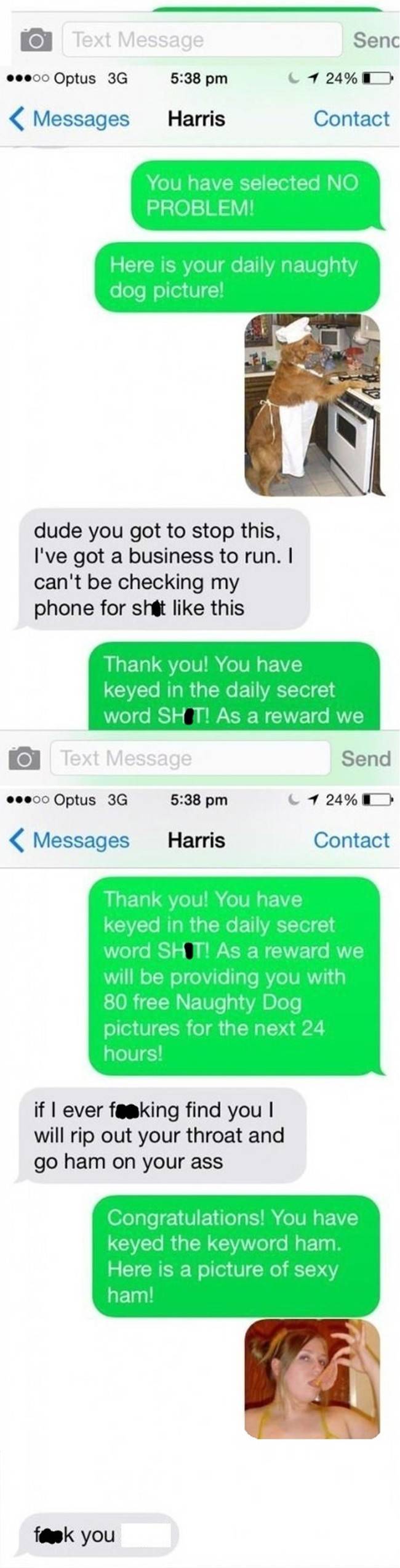 best scam text responses - Senc o Text Message ...00 Optus 3G 1 24%D Messages Harris Contact You have selected No Problem! Here is your daily naughty dog picture! dude you got to stop this, I've got a business to run. I can't be checking my phone for shat