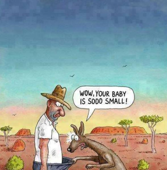 kangaroo funny - Wow, Your Baby Is Sodo Small!