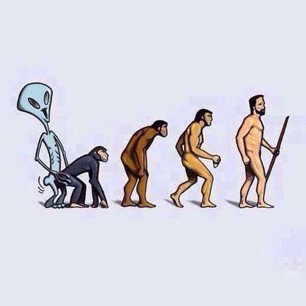 alien and monkey evolution