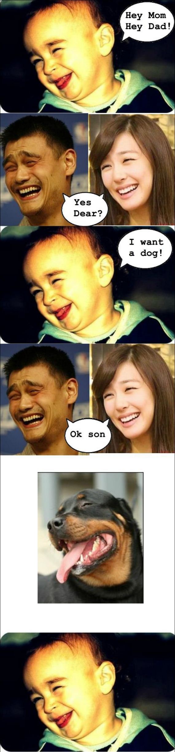 tiffany yao ming meme - Hey Mom Hey Dad! Yes Dear? I want a dog! Ok son