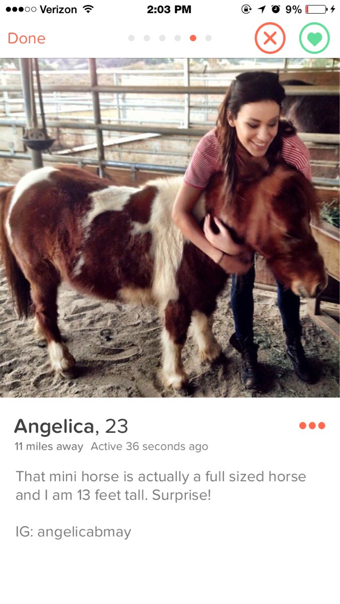tinder - tinder bios horse girl - ...00 Verizon @ 1 0 9% D4 Done Angelica, 23 11 miles away Active 36 seconds ago That mini horse is actually a full sized horse and I am 13 feet tall. Surprise! Ig angelicabmay
