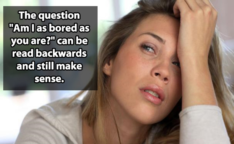 profound shower thoughts - The question "Am las bored as you are?" can be read backwards and still make sense.