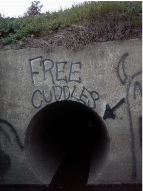 free cuddles