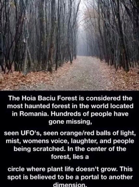 hoia baciu forest - The Hoia Baciu Forest is considered the most haunted forest in the world located in Romania. Hundreds of people have gone missing, seen Ufo's, seen orangered balls of light, mist, womens voice, laughter, and people being scratched. In 