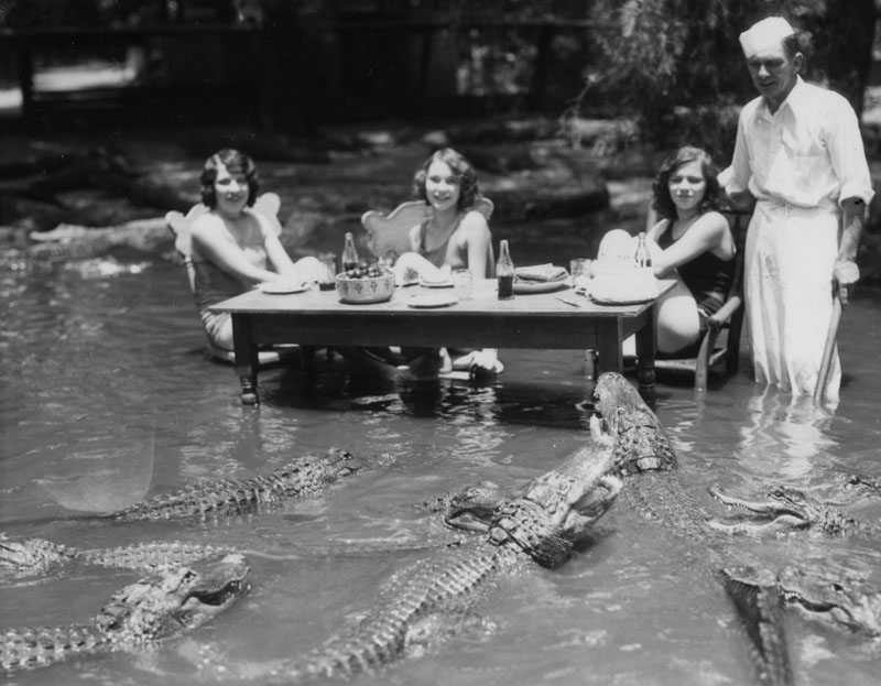Women posing with alligators at an alligator farm, 1930's.