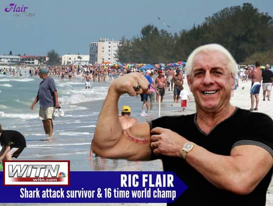 ric flair bitten by shark - Flair Witn Ric Flair Shark attack survivor & 16 time world champ