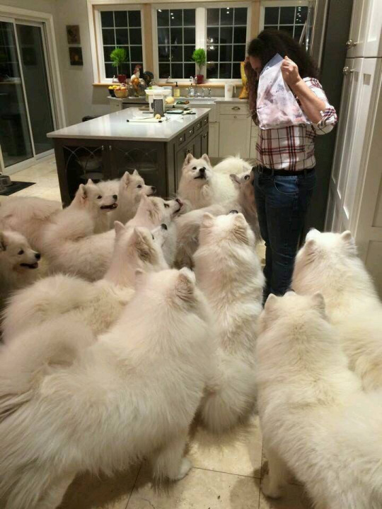 do you see yourself in 10 years dogs