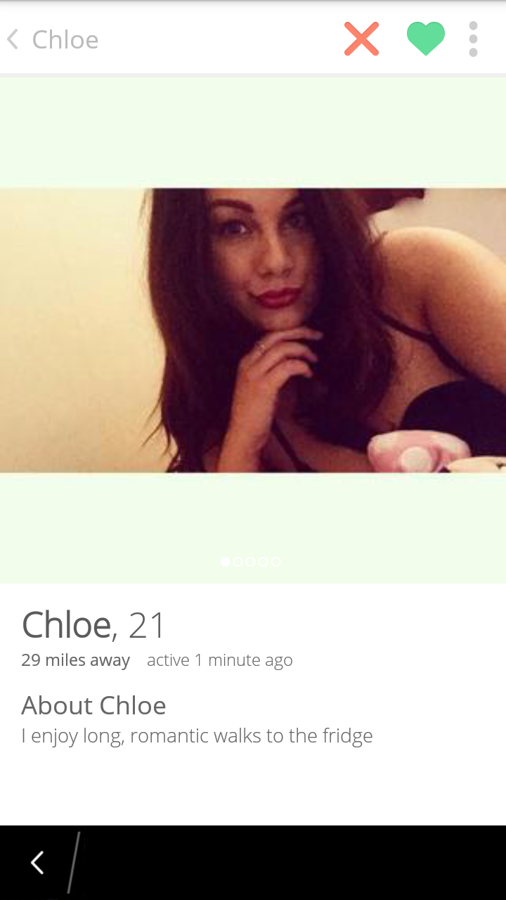 22 Tinder Profiles That Get Right To The Point