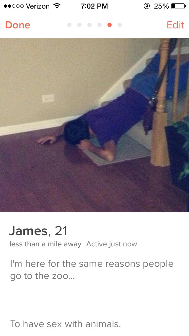 tinder - floor - .000 Verizon @ 25%O Done Edit James, 21 less than a mile away Active just now I'm here for the same reasons people go to the zoo... To have sex with animals.
