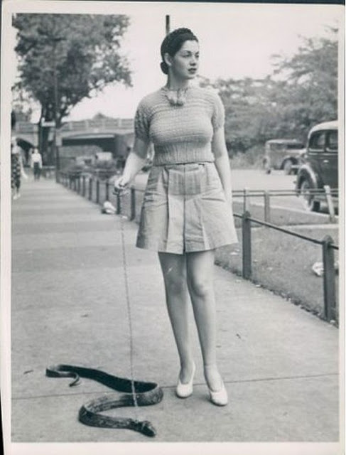 historical photo walking a snake