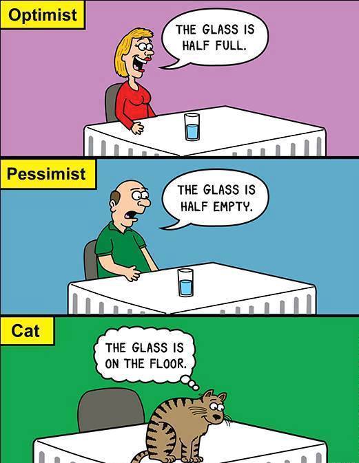 optimist pessimist cat - Optimist The Glass Is Half Full. Pessimist O The Glass Is Half Empty. Helf Empty Cat The Glass Is On The Floor.