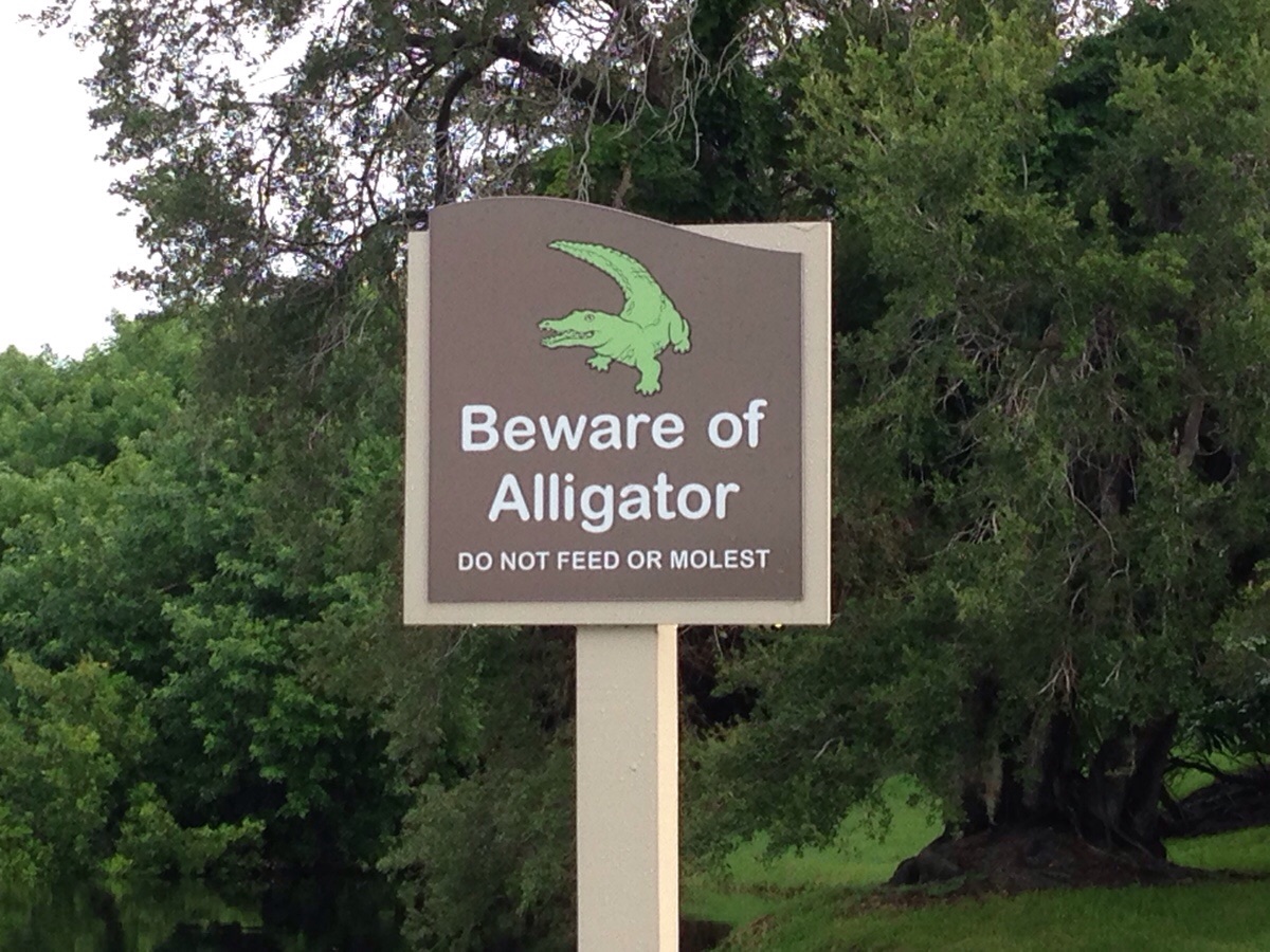 Funny alligator signs