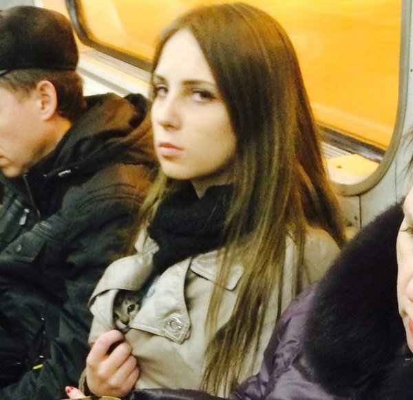 subway cat girl