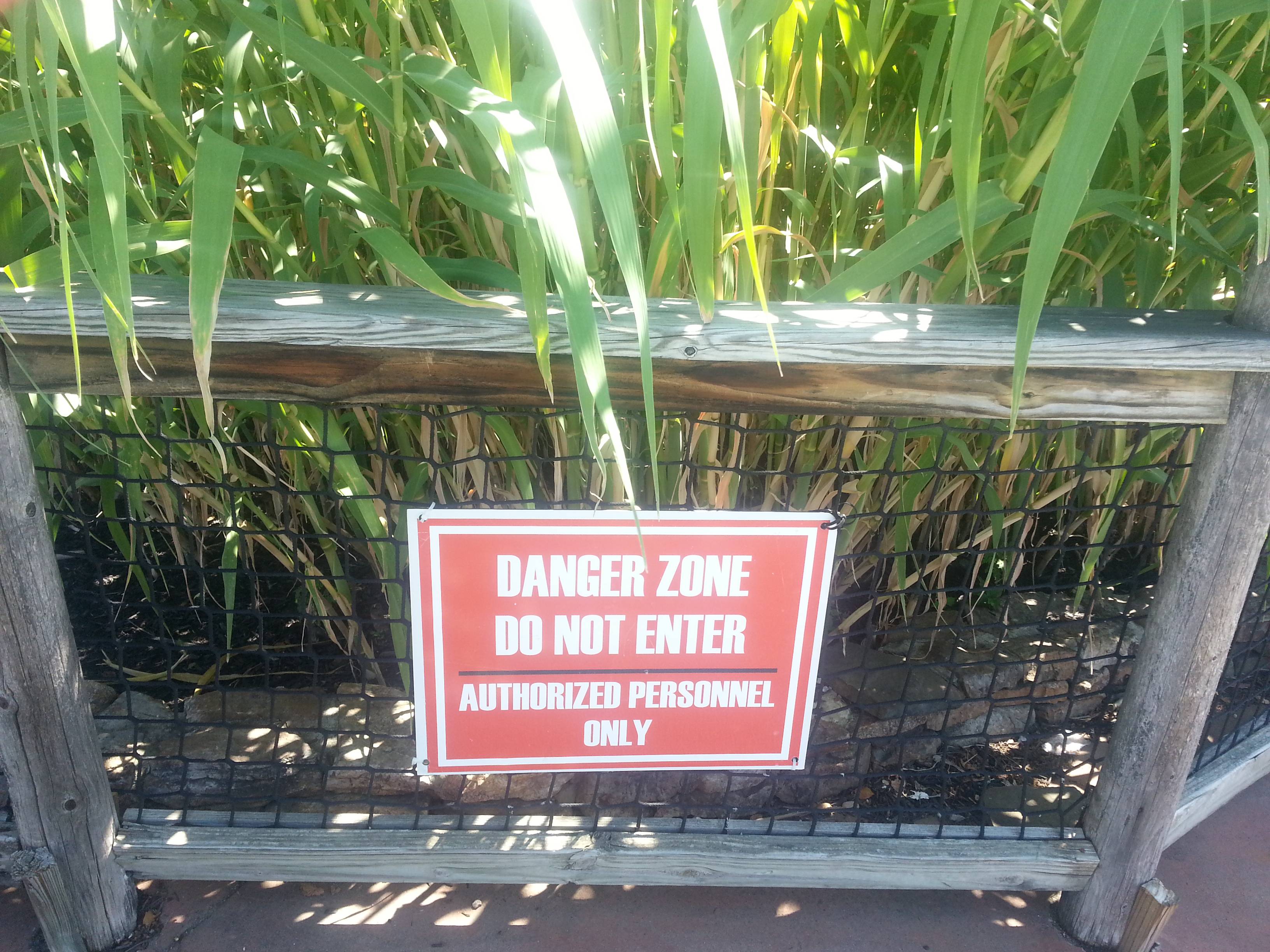 random pic grass - Danger Zone Do Not Enter Authorized Personnel Only