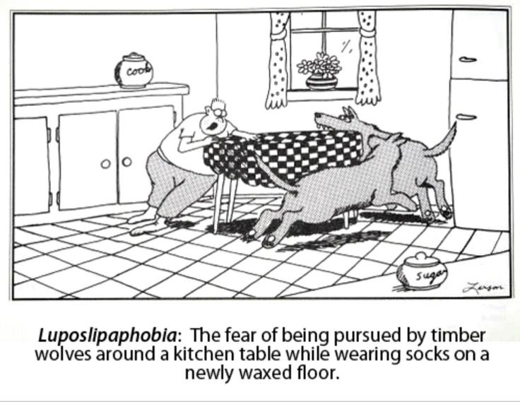 random pic luposlipaphobia far side cartoon - Luposlipaphobia The fear of being pursued by timber wolves around a kitchen table while wearing socks on a newly waxed floor.