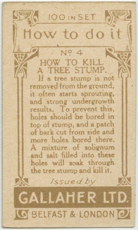 gallaher life hack - 50 100 In Set Sp? How to do it No 4 How To Kill A Tree Stump. If a tree stump is not removed from the ground, it often starts sprouting, and strong undergrowth results. To prevent this. holes should be bored in top of stump, and a pat