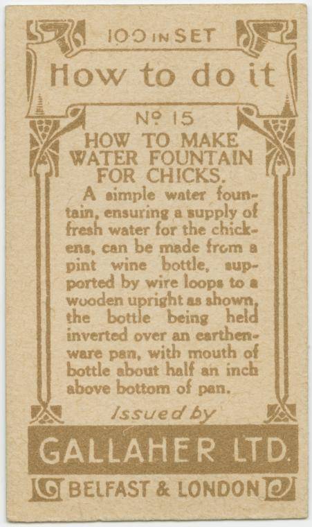 gallaher's cigarettes tip cards - S 109 1NSET 2 How to do it No 15 How To Make Water Fountain For Chicks. A simple water foun tain, ensuring a supply of fresh water for the chick ens, can be made from a pint wine bottle, sup ported by wire loops to a wuod