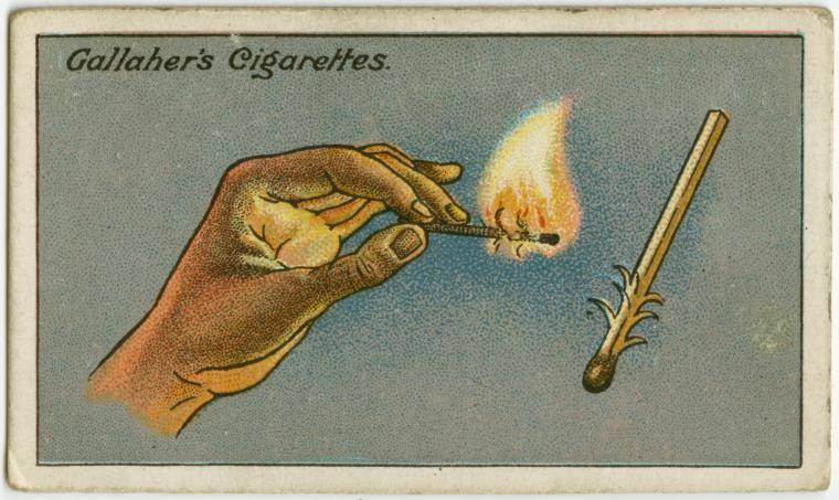 Gallahers Cigarettes.