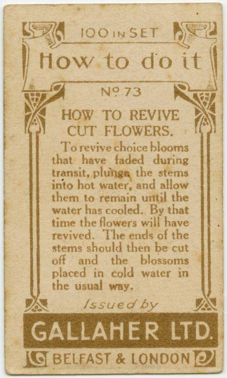 gallaher life hack - 194 100 in Set How to do it N 73 How To Revive Cut Flowers. To revive choice blooms that have faded during transit, plunge the stems into hot water, and allow them to remain until the water has cooled. By that time the flowers will ha