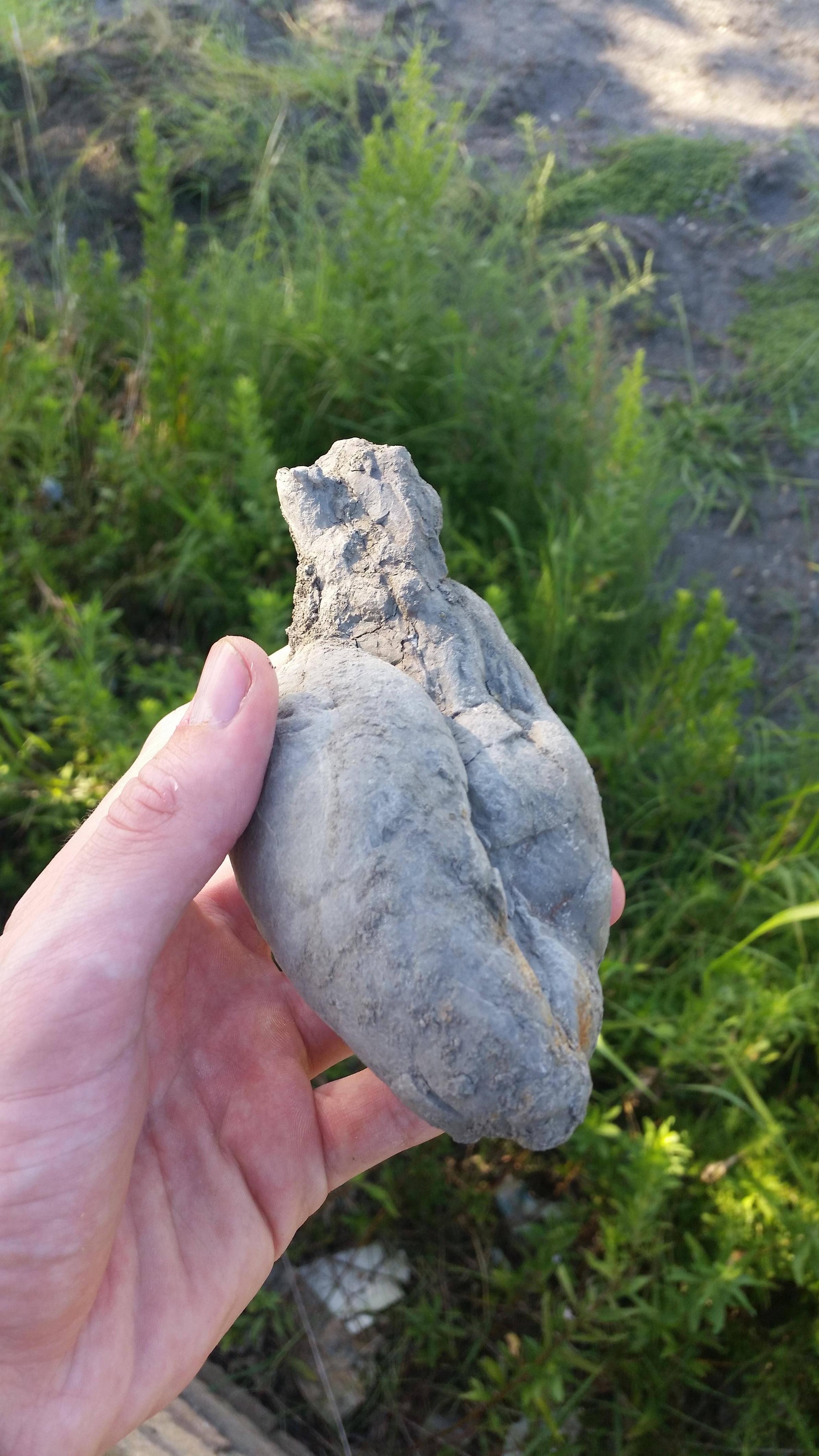 A rock shaped like a heart.