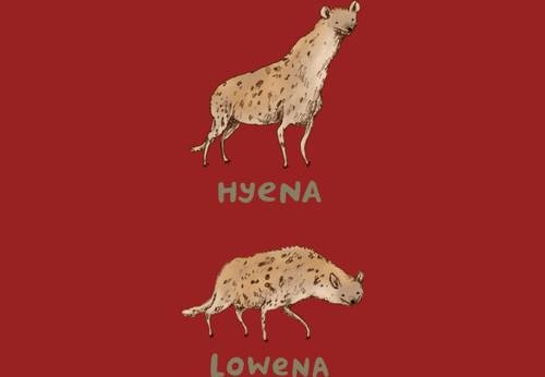 hyena lowena - HyeNA LoweNA