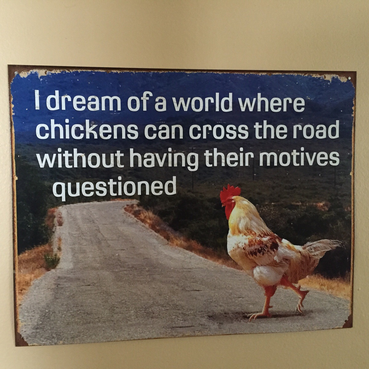 dream of a world where chickens can cross the road without having their motives questioned - I dream of a world where chickens can cross the road without having their motives questioned