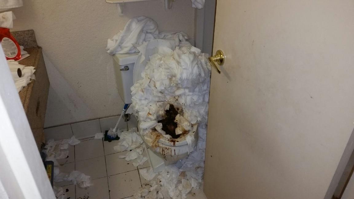 "The shitter is clogged."