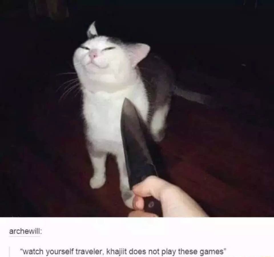 khajiit does not play these games - archewill "watch yourself traveler, Khajiit does not play these games"
