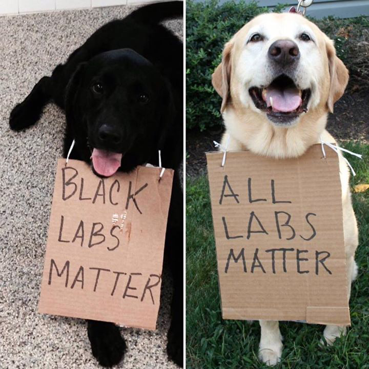 all labs matter - Black 'All Labs Labs Matter Matter