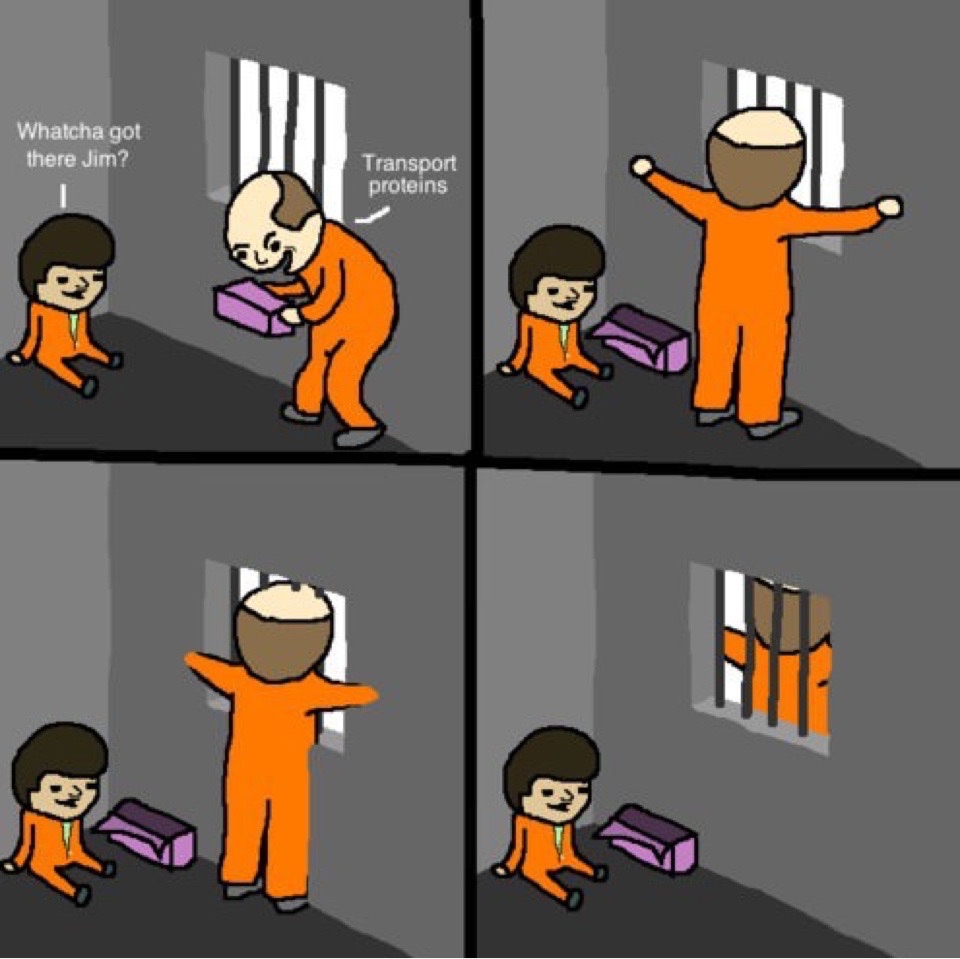cell wall funny - Whatcha got there Jim? Transport proteins