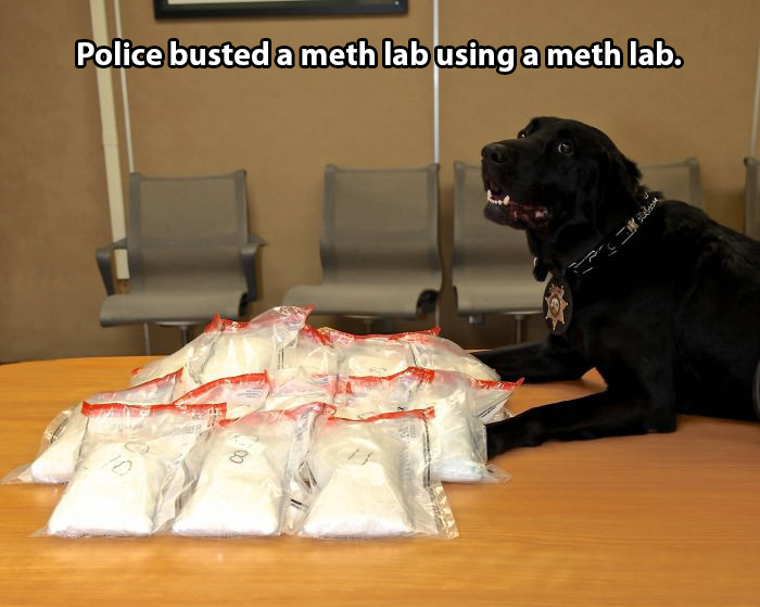 meth lab busted by meth lab - Police busted a meth lab using a meth lab.