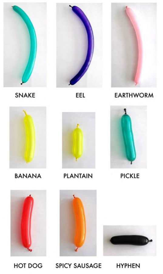 easy balloon animals - Snake Eel Earthworm Banana Plantain Pickle Hot Dog Spicy Sausage Hyphen
