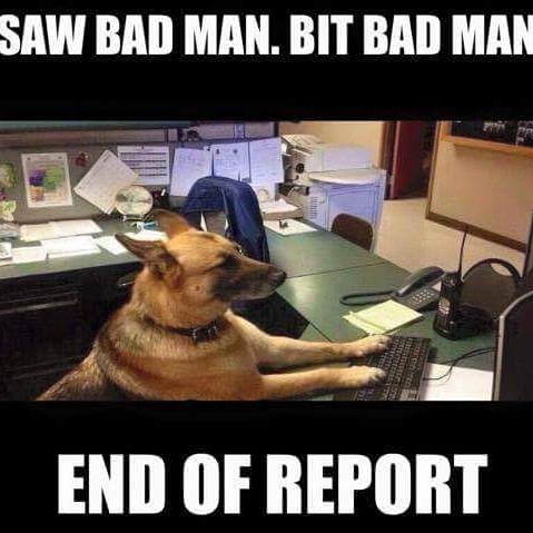 police k9 memes - Saw Bad Man. Bit Bad Man Ht End Of Report