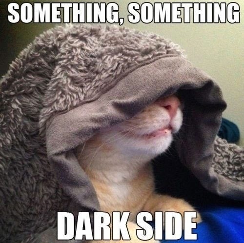 something something dark side cat - Something, Something Dark Side