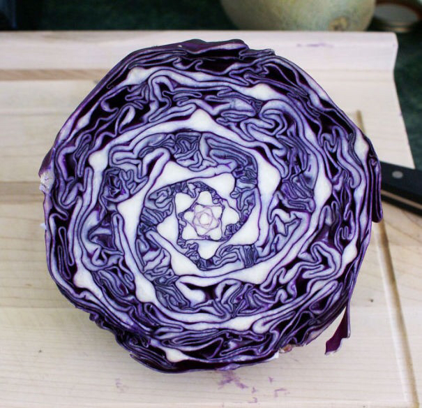 oddly satisfying  - red cabbage cut in half