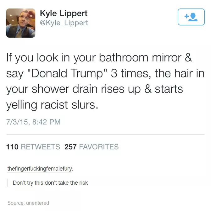 im a one issue voter seventh seal - Kyle Lippert If you look in your bathroom mirror & say "Donald Trump" 3 times, the hair in your shower drain rises up & starts yelling racist slurs. 7315, 110 257 Favorites thefingerfuckingfemalefury Don't try this don'