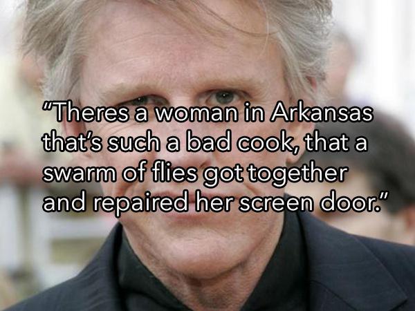 photo caption - "Theres a woman in Arkansas that's such a bad cook, that a swarm of flies got together and repaired her screen door."