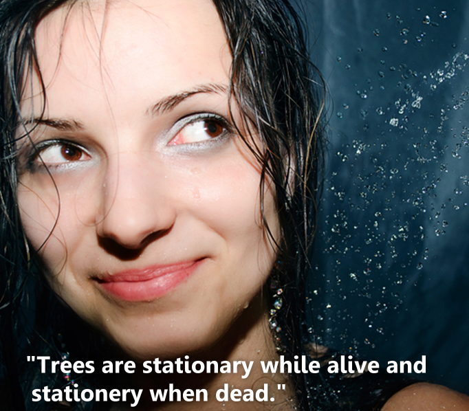 beauty - "Trees are stationary while alive and stationery when dead.".