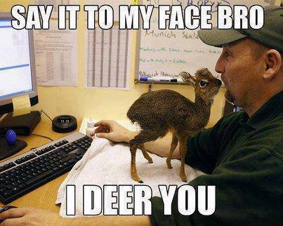 dik dik memes - Say It To My Face Bro dunia I Deer You