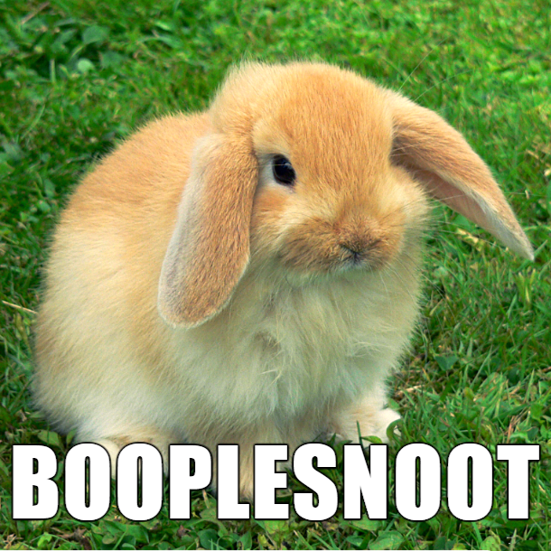 28 Hilarious Pothead Names For Animals