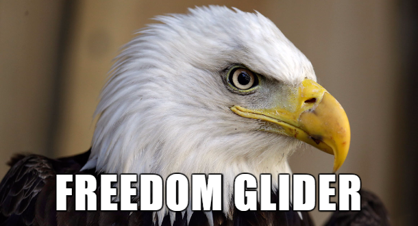 improved names for animals - Freedom Glider